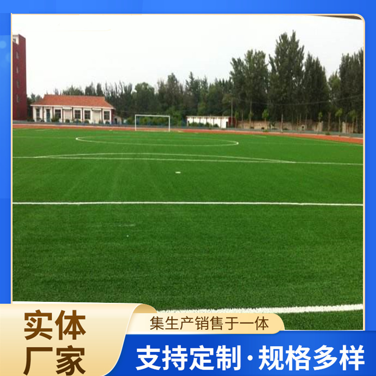 来宾市橡胶跑道人造草坪 - 一站式服务